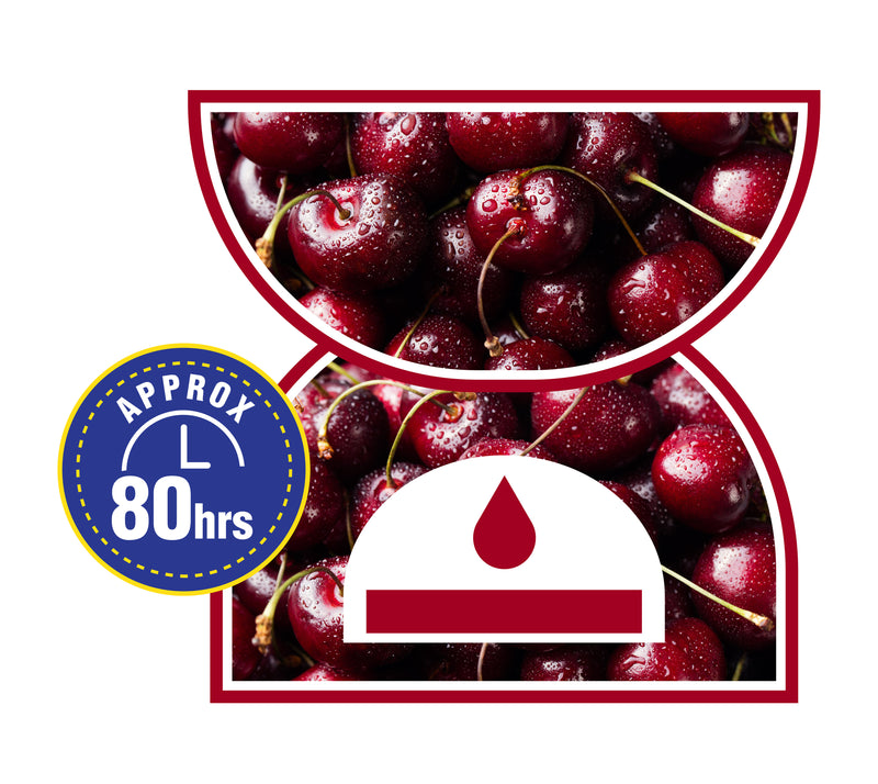 Wax Melts | Black Cherry Fruit Fragrance | Lasts up to 80 hours | 10% Fragrance Oil | Sweet, Rich Black Cherries | Wickless Soy Wax Melt | 55g